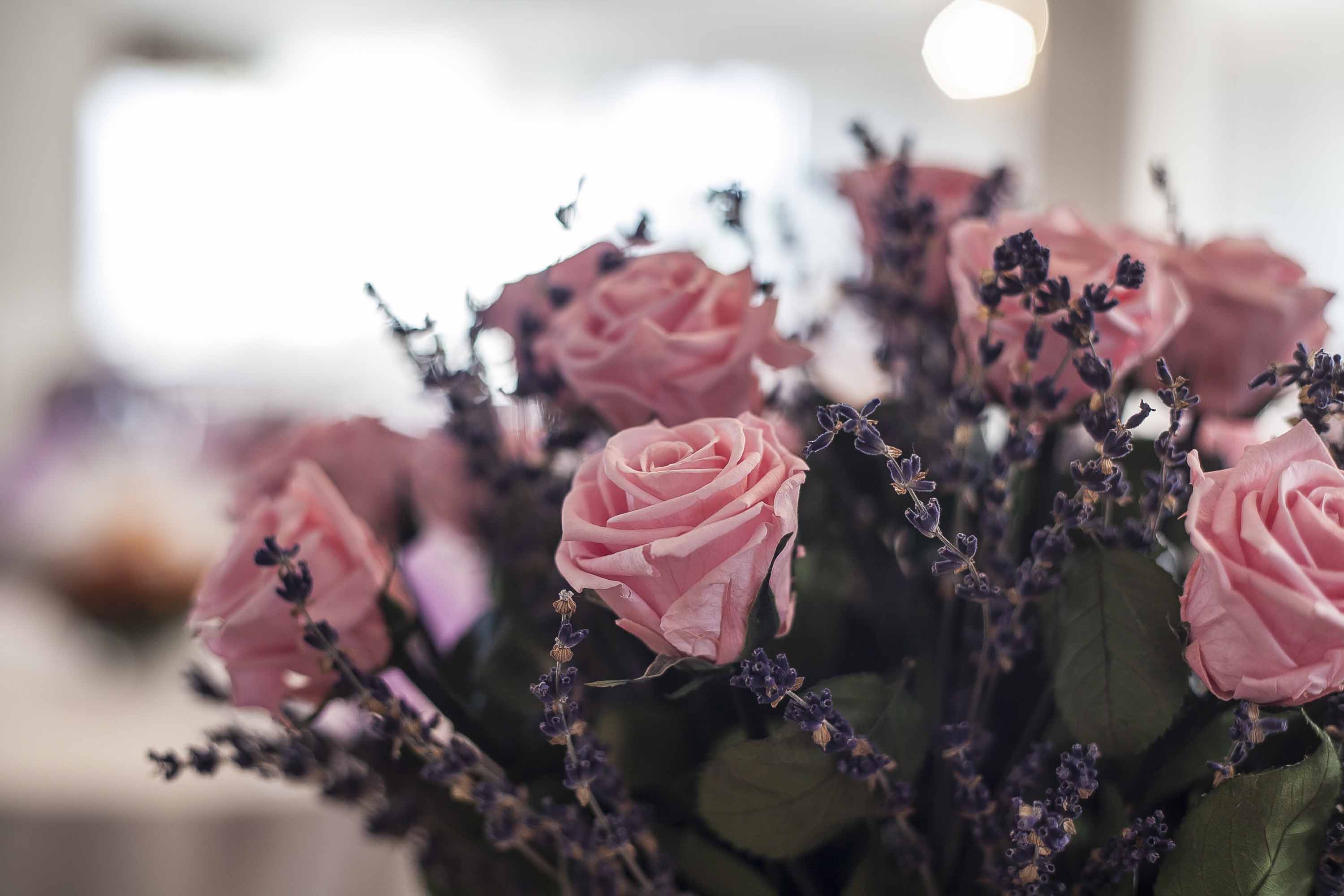 La Maison Des Jardins