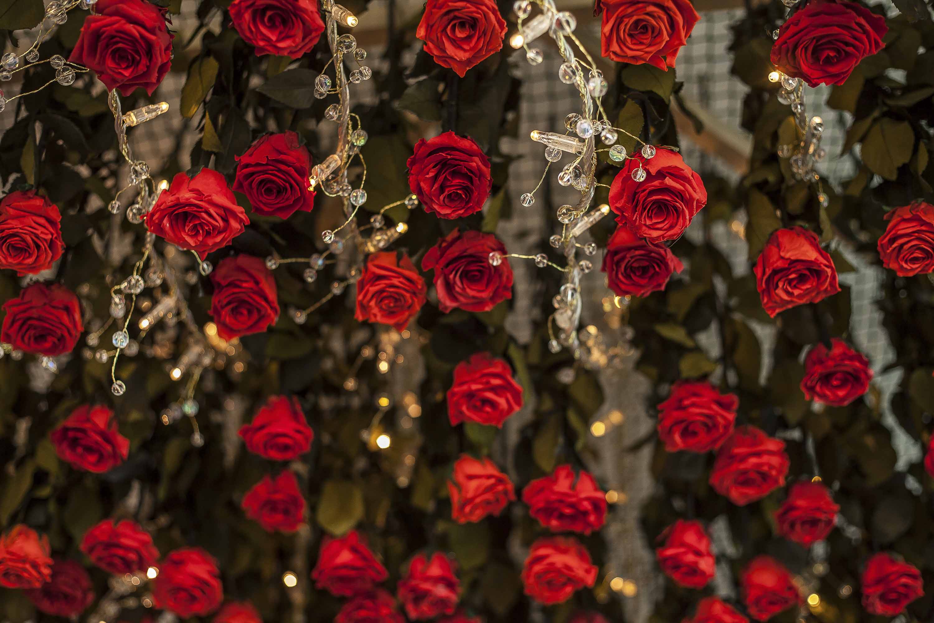 La Maison Des Jardins